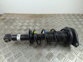Rear shock absorber with coil spring