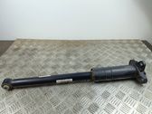 Stoßdämpfer hinten