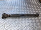Stoßdämpfer hinten
