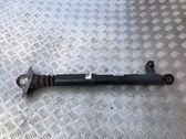 Rear shock absorber/damper