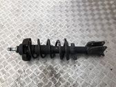 Front shock absorber/damper