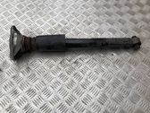 Stoßdämpfer hinten