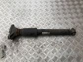 Stoßdämpfer hinten