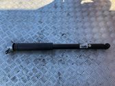 Rear shock absorber/damper