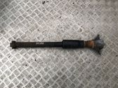 Stoßdämpfer hinten