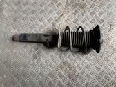 Front shock absorber with coil spring