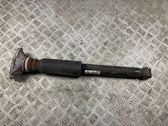 Rear shock absorber/damper