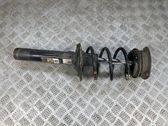 Front shock absorber with coil spring