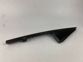 Rear door glass trim molding