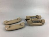 A set of handles for the ceiling