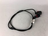 Other wiring loom