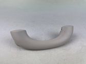 Front interior roof grab handle