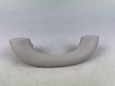 Front interior roof grab handle