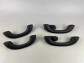 A set of handles for the ceiling