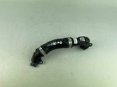 Engine coolant pipe/hose