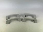 A set of handles for the ceiling