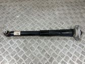Stoßdämpfer hinten