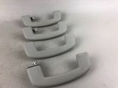 A set of handles for the ceiling