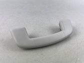 Front interior roof grab handle