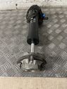 Rear shock absorber/damper