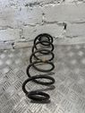 Rear coil spring