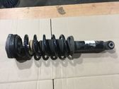 Rear shock absorber with coil spring