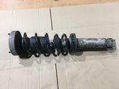 Rear shock absorber with coil spring