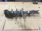 Front shock absorber with coil spring