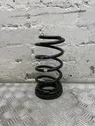 Rear coil spring