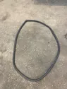 Rear door rubber seal (on body)