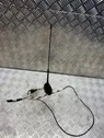 Antenna autoradio