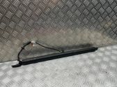 Tailgate/trunk strut/damper
