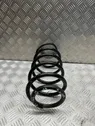 Front coil spring