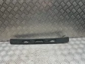 Trunk door license plate light bar