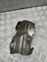 Exhaust heat shield