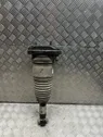 Air suspension rear shock absorber