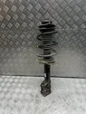 Front shock absorber with coil spring