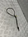 Exhaust gas temperature sensor