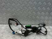 Front door wiring loom