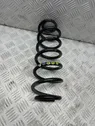 Rear coil spring