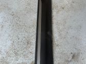Listón embellecedor de la puerta delantera (moldura)