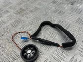 Front door high frequency speaker