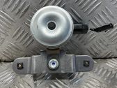 Horn signal