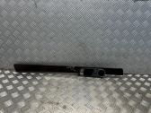 Other rear door trim element