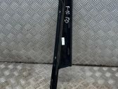 Rear door glass trim molding