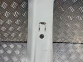 Verkleidung C-Säule