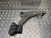 Front lower control arm/wishbone