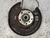 Rear wheel hub