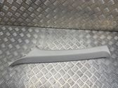 (A) pillar trim