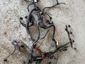 Faisceau de câblage pour moteur